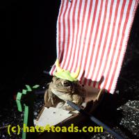 /home//u458753944/public_html/sourcegallery//Roxborough Toad Detour/2013-2019/2018/2018-02-21/P2210057.JPG